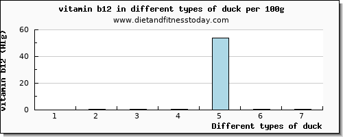 duck vitamin b12 per 100g